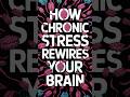 How Chronic Stress Rewires Your Brain
