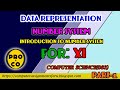 DATA REPRESENTATION NUMBER SYSTEM