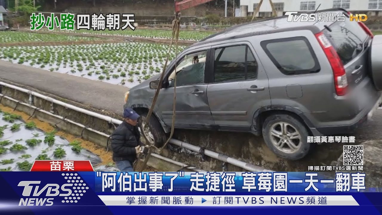 「阿伯出事了」走捷徑 草莓園一天一翻車