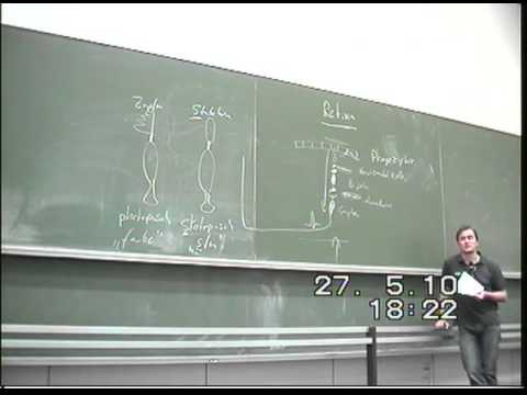 Physiologietutorium 7 - Auge