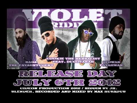 Various Artists - Violet Riddim (Megamix by Max RubaDub)