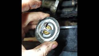 2006 Subaru Tribeca 3.0 liter Thermostat & lower radiator hose