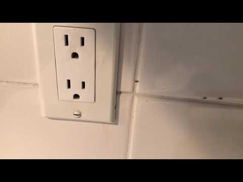 Ants Coming Out of the Walls in Toms River, NJ