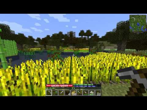 Minecraft TerraFirmaCraft S2 #17: Light Sheep