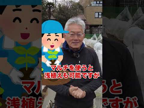 大きな収量が期待できる新しい高床からジャガイモを収穫する