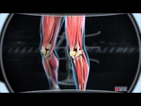 Big Red Wrap-Up: InjuReplay, ACL - an NET Sports Feature