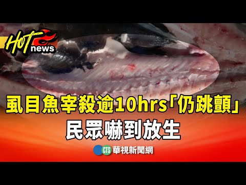 毛毛的！虱目魚宰殺逾10hrs「仍跳顫」　民眾嚇到放生