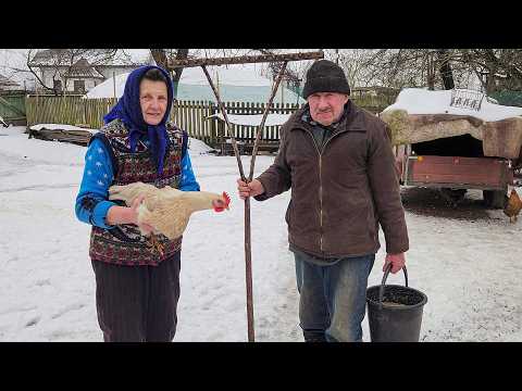 Simple Day Without Fuss In The Village, Full Of Comfort And Important Things To Do