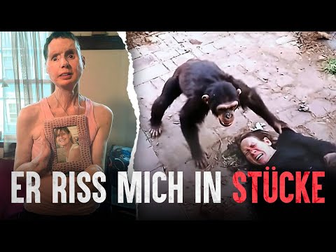 Sie hatte einen Haustier-Schimpansen, doch eines Tages verwandelte sich alles in einen Albtraum.