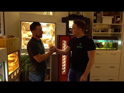 Einjähriges Firmenjubiläum von Handmade Terrarienbau - Wir durften dabei sein