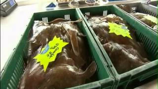 Radioactive waste: Dumped and Forgotten - Chris busby, John Large, Greenpeace 2013