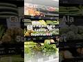 What Else Do You Want To Learn About Packing Vegetables Packinghouse Sayurpack Ediblecoating