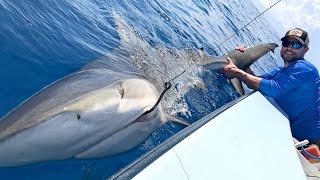 Searching for Giant Snook and a Monster Shark