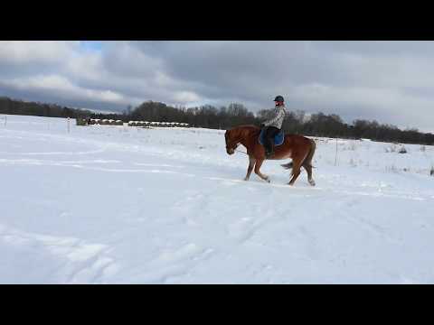 VID 20180301 140206#