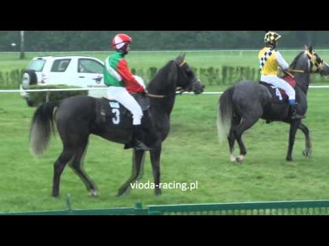 Gon. IV (N. Kabareta) - 16.05.2010 - Kentauer Kossack i Amadis