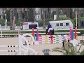 Hongre SBS 6 ans &ndash; Tr&egrave;s facile 