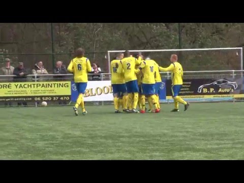 Samenvatting Veluwezoom - V.V. Oene