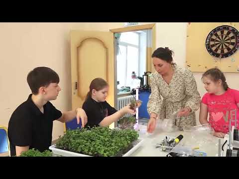 (6.02.2026) Воспитанники центра “Надежда” научились гидропонике и собрали урожай микрозелени