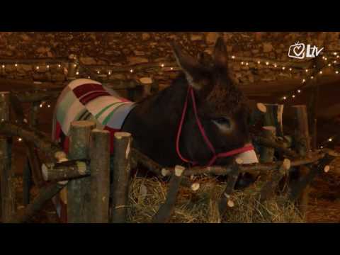 Katolički kalendar 24.12.2016. - Badnjak