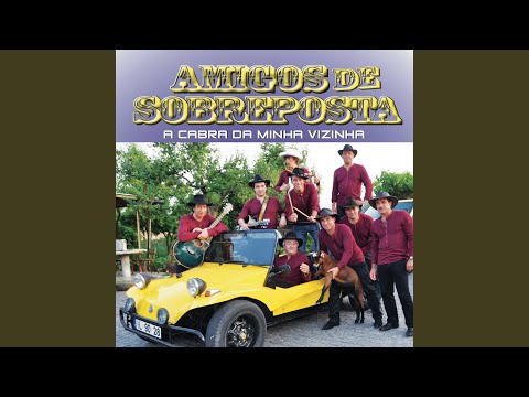 Bota Fogo No Terreiro