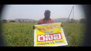 Download lagu Dhanvi seeds Onian Rasili mp3