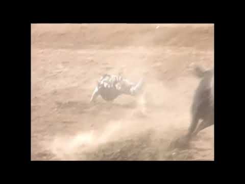 Jayhawk hooks Willis Trosclair - 00 PBR Laughlin