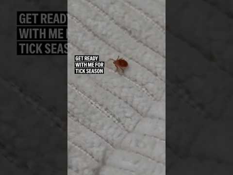 Get ready with me for tick season