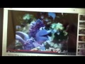 Closing To Barney What A World We Share 1999 VHS