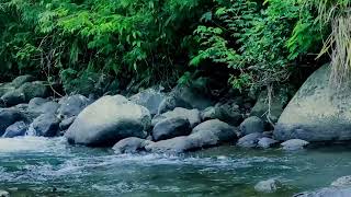 Say Goodbye to Stress With the RIGHT Relaxation Sounds