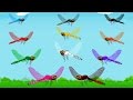 Learning Colors With Dragonfly Kids Learning Colors Fun Animated Videos