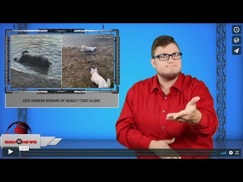 Sign1News 8.14.19 - News for the Deaf community powered by CNN in American Sign Language (ASL).