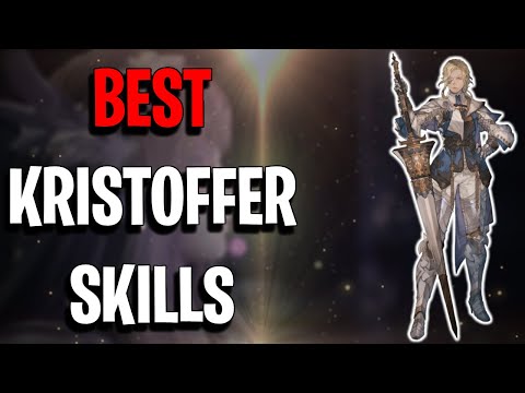 What Is The Best Setup For Kristoffer~Valkyrie Elysium