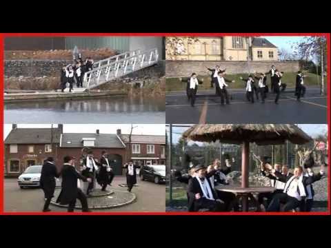 Windjvogel , Haelder Aod Prinse ( inzending LVK 2012)