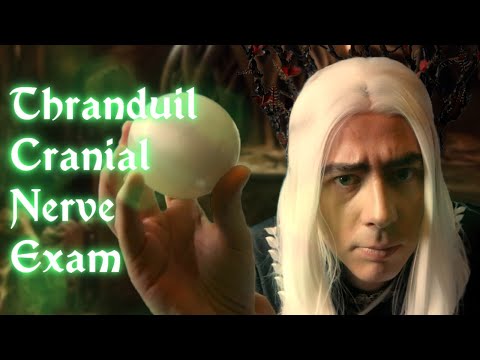 Thranduil Cranial Nerve Exam 🧝 Lord of The Rings Fantasy ASMR Roleplay