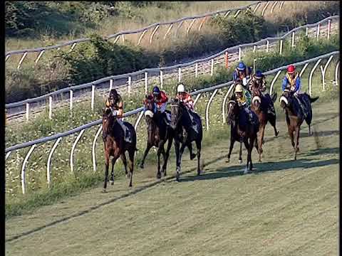 Galoppo 24/07/2019 - 2ª corsa