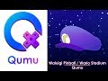 Mario Kart DS Waluigi Pinball Wario Stadium DS Remix