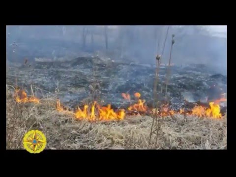 Meşədə yanğın təhlükəsizliyi qaydalarına riayət edin