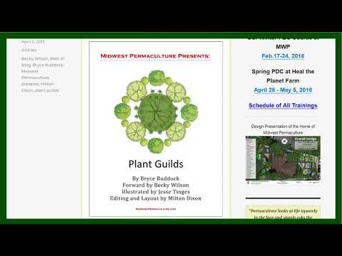 9 Permaculture Plant Lists - Plant Guilds and Companion Planting