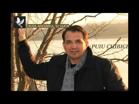 Puiu Chibici-Mai Sus de Stele