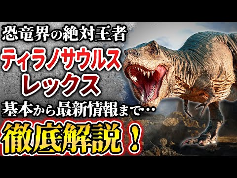 ティラノサウルス科 - 定義