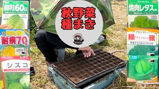 Revenge! Sowing autumn vegetables [Chinese cabbage 60 days] [Chinese cabbage 70 days] [Cisco] [Gr...