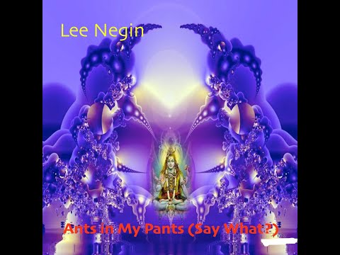 Lee Negin, "Ants in My Pants Say What?"   (the sequel) HD 1080p