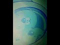 Pakdam Pakdai Full Episode