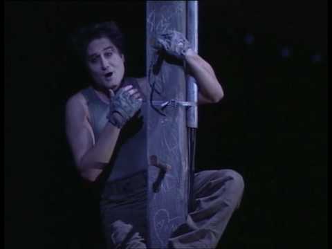 Giuseppe Filianoti - Una furtiva lagrima - L'elisir d'amore