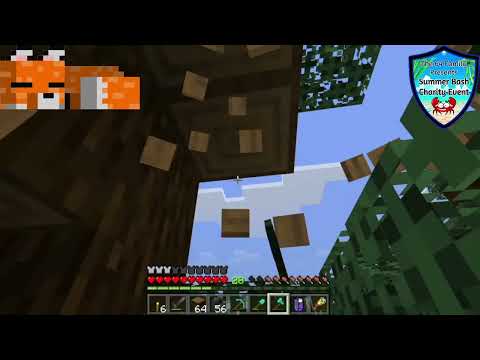 Minecraft NIN SMP Charity Event E9