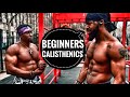 How to Start Calisthenics Beginner Workout | Exercises to Build Muscle for Beginners