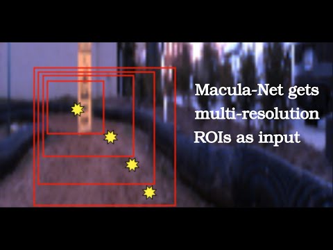 The Macon List Crawling Perception