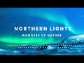 The Northern Lights || Aurora Borealis