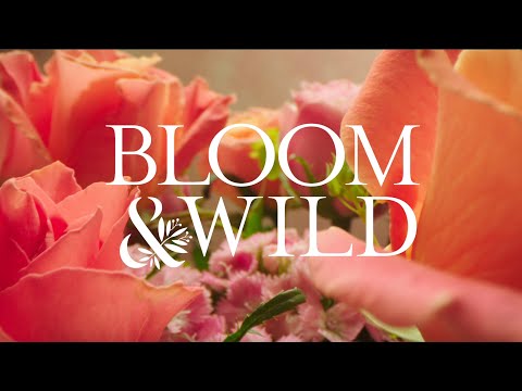 Bloom & Wild video 2