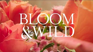 Bloom & Wild Letterbox Flowers